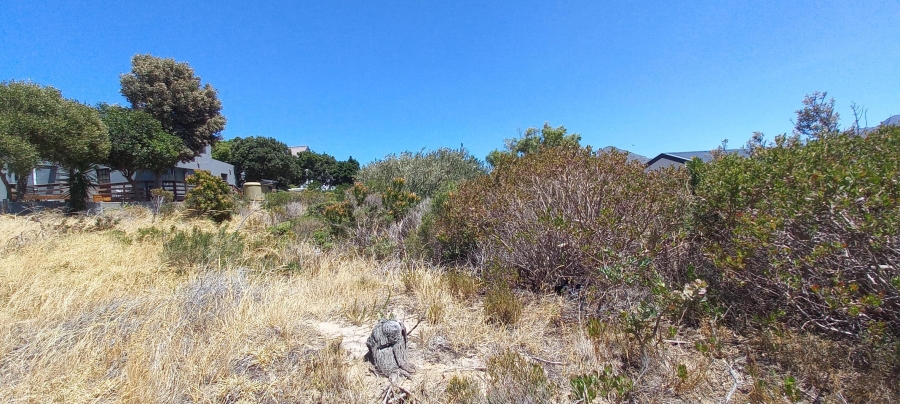 0 Bedroom Property for Sale in Pringle Bay Western Cape